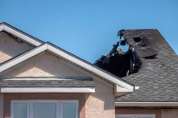 Top rated local Fire Damage Removal specialists in Foley, MN
